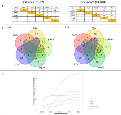 Herpes DNAemia and TTV Viraemia in Intensive Care Unit Critically Ill Patients: A Single-Centre <mark class="highlighted">Prospective Longitudinal Study</mark>